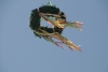 richtfest_11.06.2010__6_.jpg
